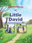Adventures Of Little David Hardcover