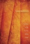 Cardinal In The Eastern White Cedar Paperback
