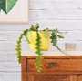 Fishbone Cactus - 15CM In Neon Yellow Emerson