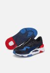 Puma Motorsport Bmw Mms RS-SIMUL8