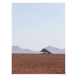 Swartland 2 Art Print - A4
