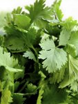 Coriander Slowbolt Seed - 500 G Raw Seed