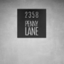 House Number D21 - 800 X 800 / Matt Silver / No
