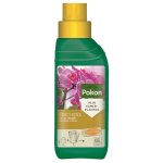Pokon – Orchid Plant Food – 250ML X 15 Bottles