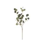 Eucalyptus Leaf Stem - 90CM