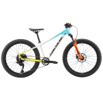 Racing Drone Jnr 24 Inch Team 2026