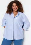 Plus Striped Poplin Shirt - Blue