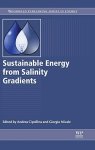 Sustainable Energy From Salinity Gradients