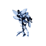 Bouquet Delft Blue Art Print - A4 297 X 210MM
