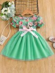 Toddler Girls Puff Sleeve Ruffle Trim Floral Graphic Mesh Belted Princess Dress For Party Kids Summer Clothes