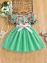Toddler Girls Puff Sleeve Ruffle Trim Floral Graphic Mesh Belted Princess Dress For Party Kids Summer Clothes