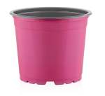 Thermoform Pots 17CM - Pink