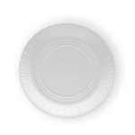 Fomolite Picnic Plates