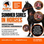 Summer Sores In Horses: Understanding Cutaneous Habronemiasis In South Africa – Ahfs Educational Ebook