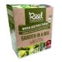 Winter Vegetable Garden In A Box