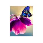 Diamond Painting Diy Kit Full Drill 40X30CM- Blue Butterfly In Pink