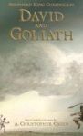 David And Goliath Hardcover