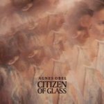 Citizen Of Glass Cd