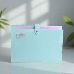 A4 Expanding Document File With 12 Pockets And Snap Closure