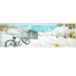 Beach Cruiser Canvas Wall Art 1500 X 500