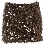 Brown Embroidered Sequins Skirt