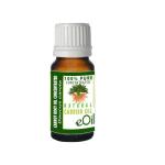 Carrot Root Macerated Carrier Concentrated Oil - 10 Ml