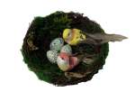 Birds Nest 2