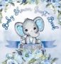 Baby Shower Guest Book - It&  39 S A Boy Elephant & Blue Floral Alternative Theme Wishes To Baby And Advice For Parents Guests Sign In Personalized With Address Space Gift Log Keepsake Photo Pages   Hardcover