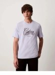 Calvin Klein 20S Calvin Script Graphic Light Blue T-Shirt - XXL Blue