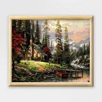 Adult Paint By Numbers With Frame - Haven In The Woods