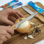 Stainless Steel Japanese Style Fruit Knife