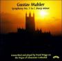 Symphony No 5   Briggs     Cd