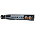 FTS Vibe Shandies 2 2-CHANNEL Home Amplifier