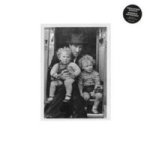 Moondogs And Mad Dogs Cd