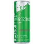 Red Bull Cactus Fruit Green Edition 250ML - 24