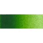 Artist& 39 S Watercolour Paint - 15ML - Sap Green
