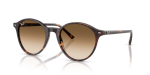 - Bernard - Havana clear Gradient Brown - Size 51