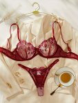 Floral Embroidery Lingerie Set Mesh Unlined Bra & Panty Women's Sexy Lingerie & Underwear