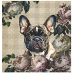 FSC2384 Printed Blanket Assorted