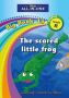 All-in-one: The Scared Little Frog: Big Book 13: Grade R   Paperback