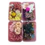 Craft Decor Dried Natural Flowers For Home Decoration Set Of 4