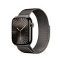 Apple Watch Series 10 42MM Slate Titanium Case With Slate Milanese Loop