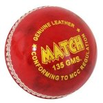 113G Match Cricket Ball