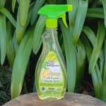 All Purpose Cleaning Spray Natural Orange
