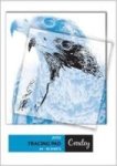 JD252 A4 Tracing Pad 30 Sheet 10-PACK