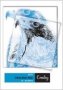 JD252 A4 Tracing Pad 30 Sheet 10-PACK