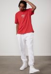 Regular Pop Culture T-Shirt - Lcn Nas Lychee