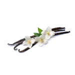Vanilla Shisha Type Concentrate - 100ML