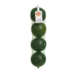 Pnp Large Gem Squash 4 Pack