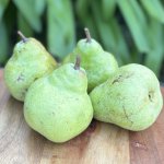 Heirloom Foods – Organic Pears 1KG